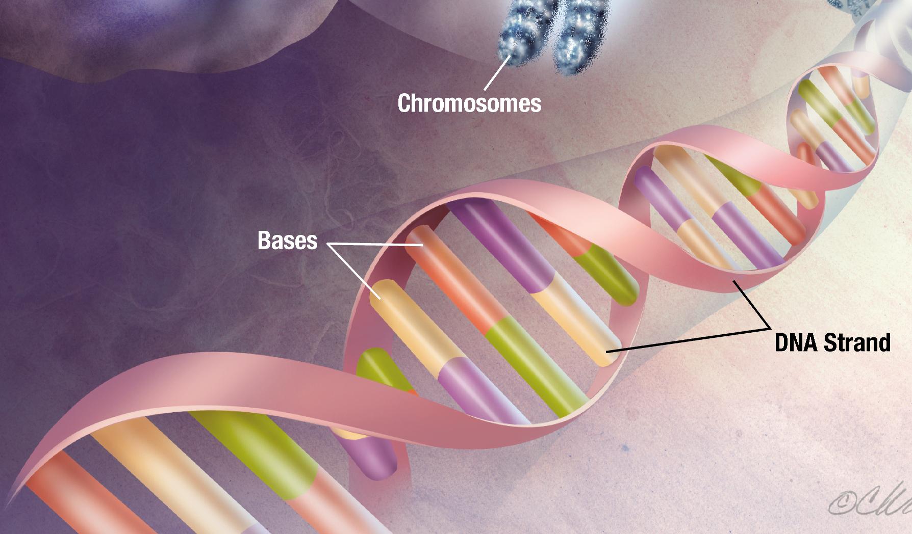Προγνωστική Γονιδιωματική (test DNA): Έλεγχος DNA για Υγεία